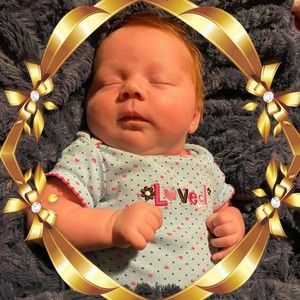 Meet your Posher, Shelley